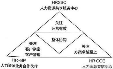 數字化時代下人力資源組織系統的演變與人力資源服務的轉型升級